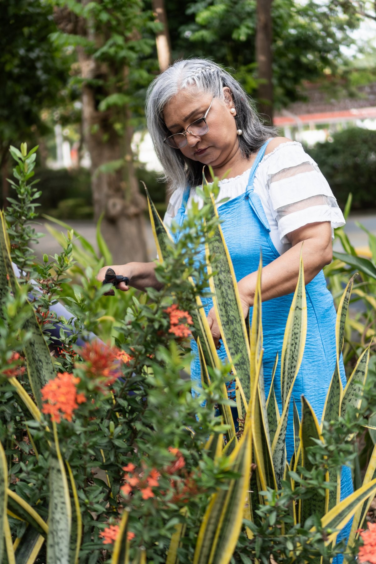 Elder woman enjoying her hobby, gardening in a green outdoor park